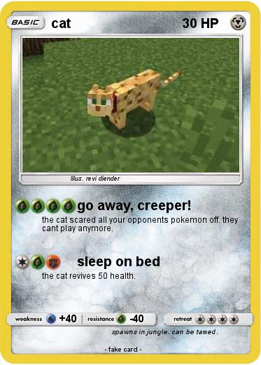 Pokemon cat