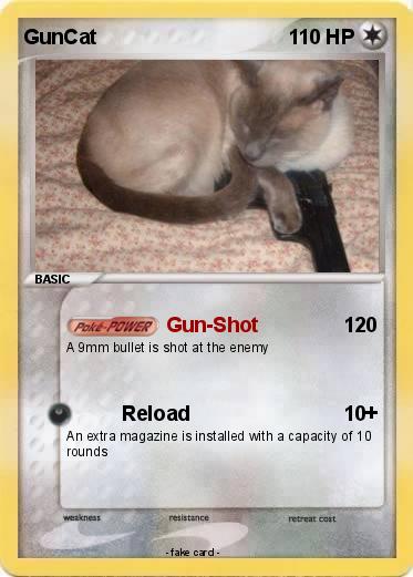 Pokemon GunCat