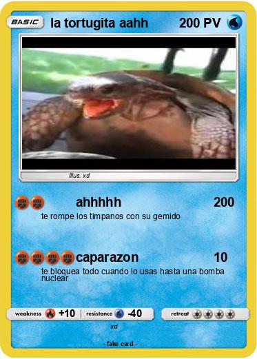 Pokemon la tortugita aahh