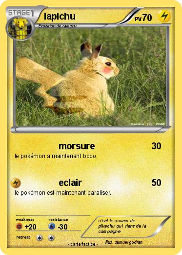 Pokemon lapichu