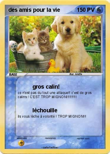 Pokemon des amis pour la vie