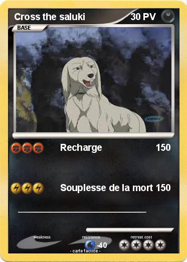 Pokemon Cross the saluki