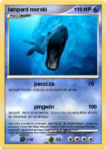 Pokemon lampard morski