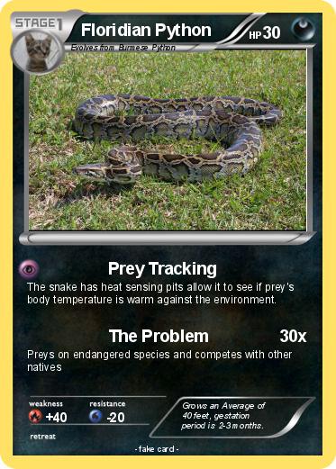Pokemon Floridian Python