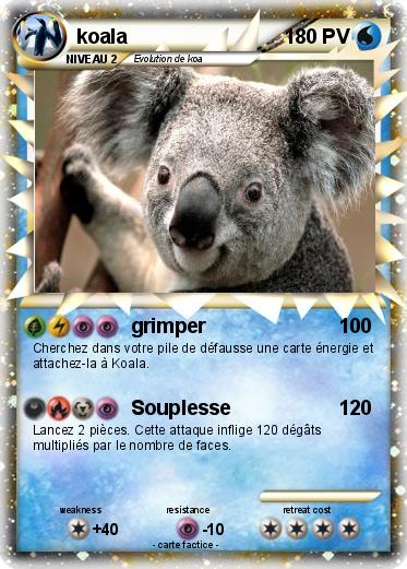 Pokemon koala