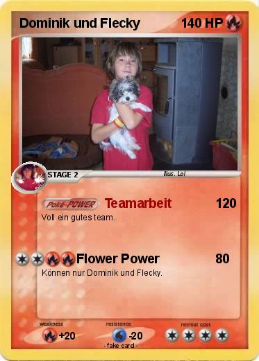 Pokemon Dominik und Flecky