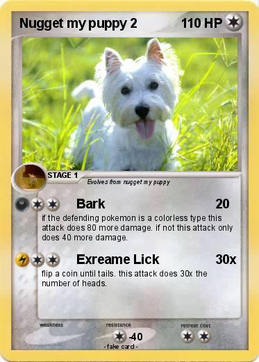 Pokemon Nugget my puppy 2