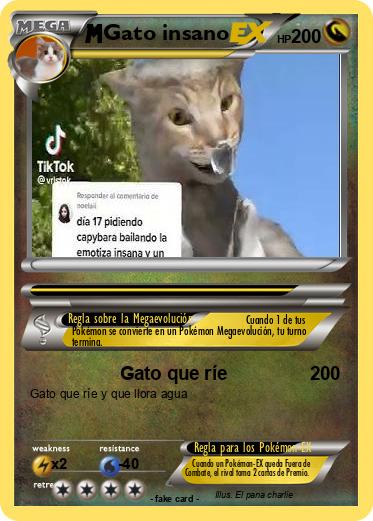 Pokemon Gato insano