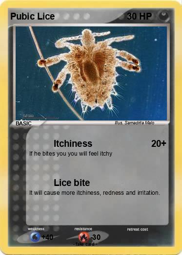 Pokemon Pubic Lice