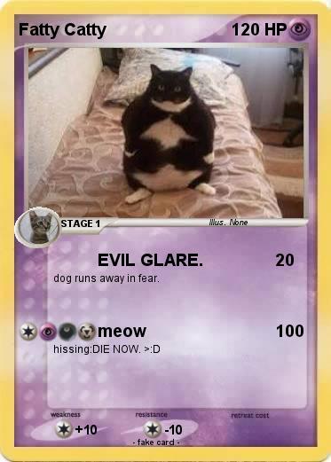 Pokemon Fatty Catty