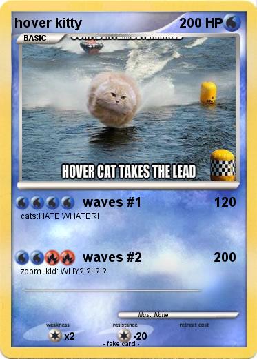 Pokemon hover kitty