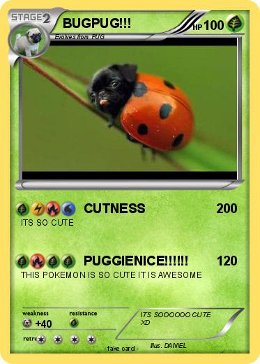 Pokemon BUGPUG!!!