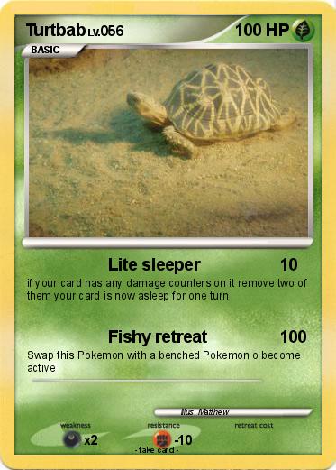 Pokemon Turtbab