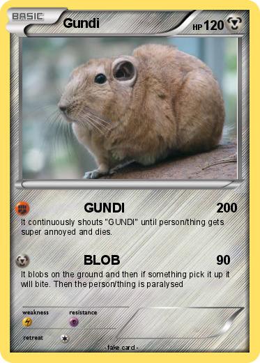 Pokemon Gundi