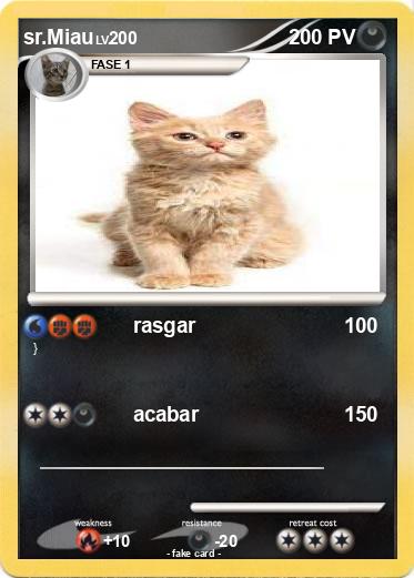 Pokemon sr.Miau
