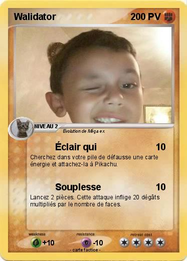 Pokemon Walidator