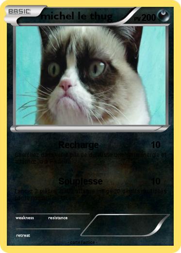 Pokemon michel le thug