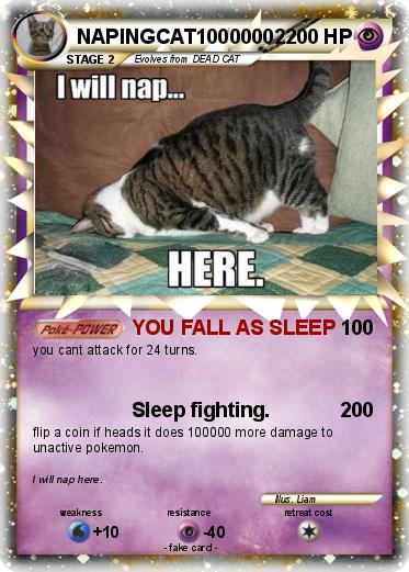 Pokemon NAPINGCAT10000002