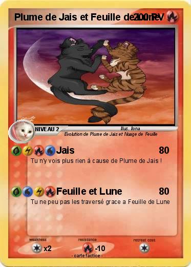 Pokemon Plume de Jais et Feuille de Lune