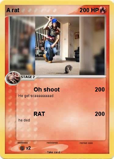 Pokemon A rat