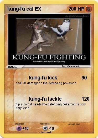 Pokemon kung-fu cat EX