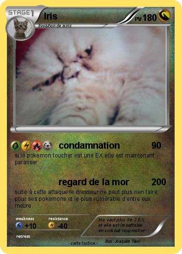 Pokemon Iris