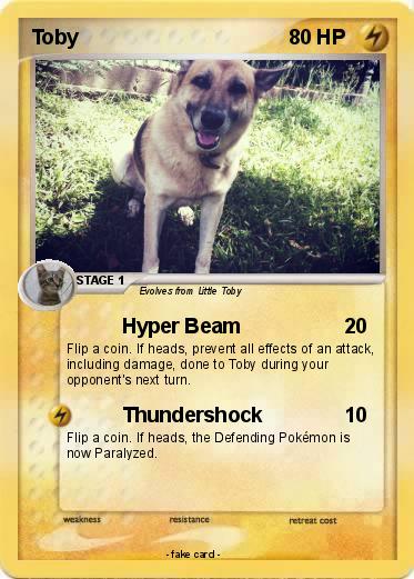 Pokemon Toby