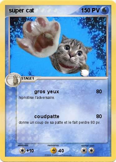 Pokemon super cat