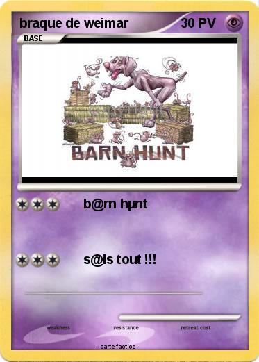 Pokemon braque de weimar