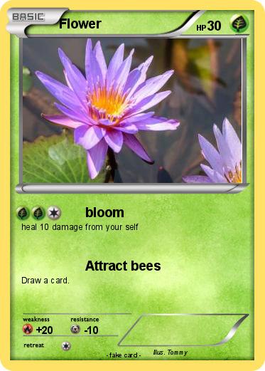 Pokemon Flower