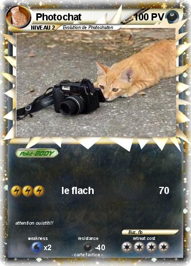 Pokemon Photochat
