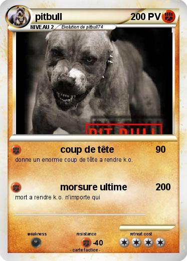 Pokemon pitbull