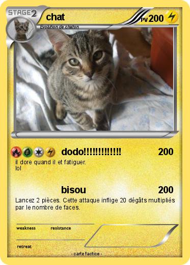 Pokemon chat
