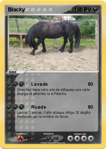 Pokemon Blacky