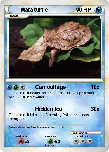 Pokemon Mata turtle