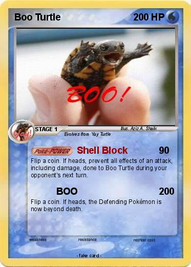 Pokemon Boo Turtle