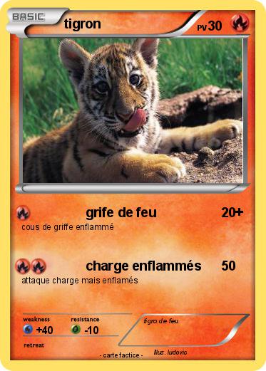 Pokemon tigron
