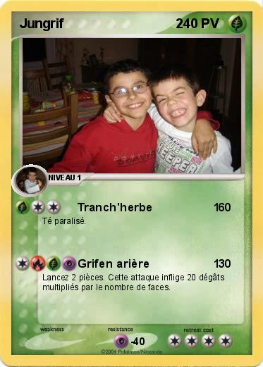 Pokemon Jungrif                               2