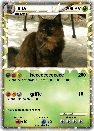 Pokemon tina