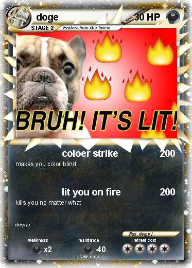Pokemon doge