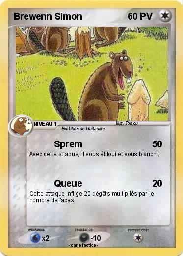 Pokemon Brewenn Simon