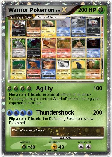 Pokemon Warrior Pokemon