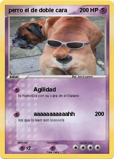 Pokemon perro el de doble cara
