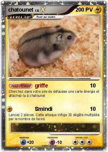 Pokemon chatounet