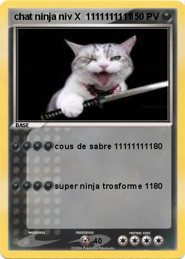 Pokemon chat ninja niv X  1111111111