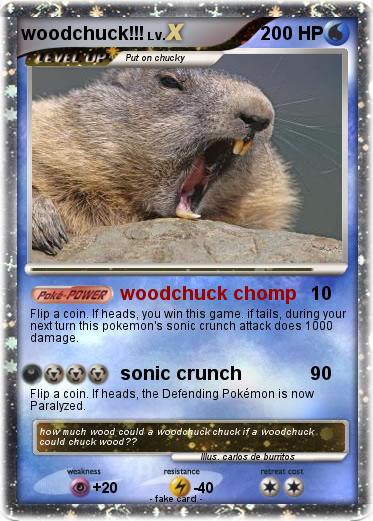 Pokemon woodchuck!!!