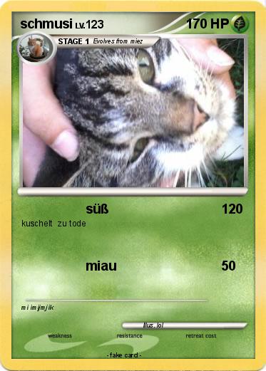 Pokemon schmusi