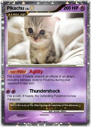 Pokemon The cutest kitten