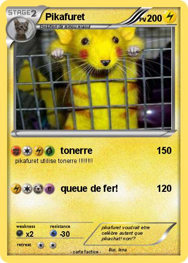 Pokemon Pikafuret