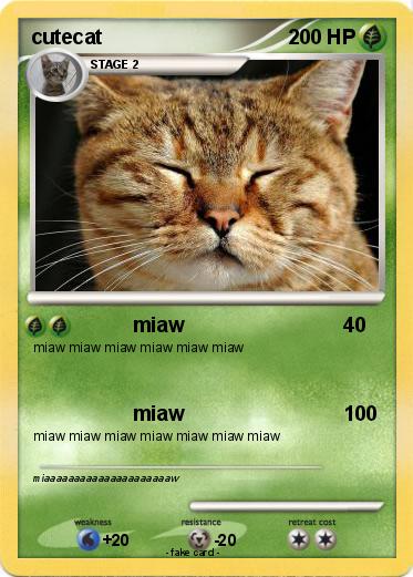 Pokemon cutecat